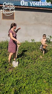 161K views · 6.4K reactions | Planting Out My Avocado Tree 陋 #homestead #gardening #shorts | Crazy jungle adventures | Facebook