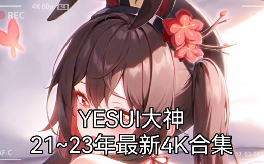 【原神】YESUI大神21~23年最新4K合集（同人）