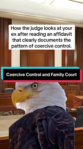 Show Coercive Control in Court: Affidavit Guide
