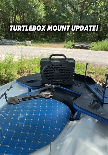 Essential Tips for Box Turtle Care and Enclosures