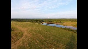 REDUCED!!! 152 Acre Farm Land for Sale Appling County, GA