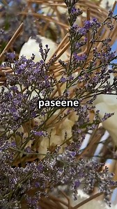 Hacks of Event Management.. From planning to execution, these tips...