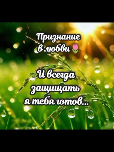 Очень красивое 💞 признание 💞в любви💞. До конца!!! #песниолюбви #признаниевлюбви #люблю