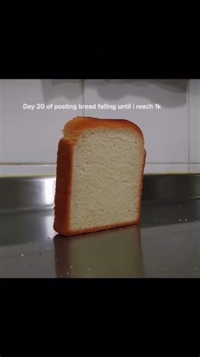 Day 20 of posting falling bread till 1k