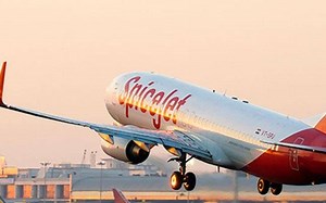 Spicejet sacks pilot for keeping air hostess in cockpit with him
