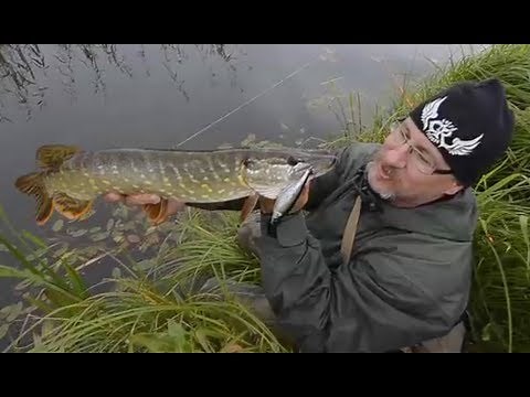 Angeln auf Hecht in kleinen Gräben