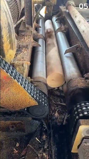 Chains grip, bark tears—log stripped clean by steel rhythm and spinning force