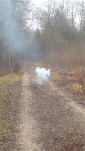 SHARK 2g #jorge #pyro #fireworks