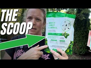 Food Grade Diatomaceous Earth: Natural Pest Control Review