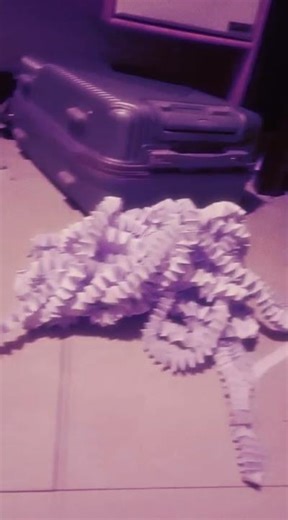 Part 2 | Making the Longest Paper Spring | #usashorts #papercraft #edits ‪@THEPURPLEASSASSIN-w3g‬