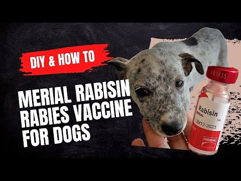 Merial Rabisin Rabies Vaccine for Dogs - DIY and How To Use
