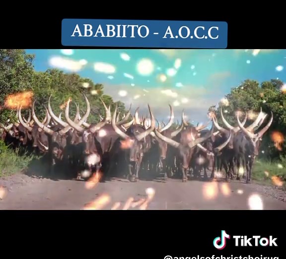 Ababito by Angels of Christ Choir: Uplifting Gospel Music