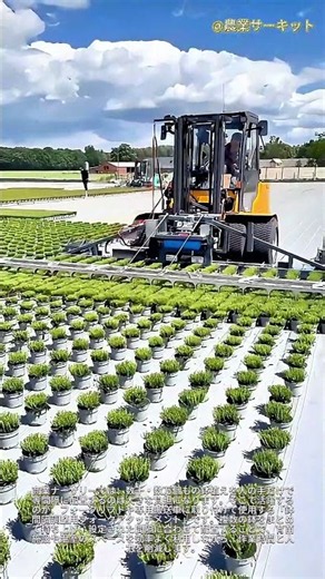 自動鉢間隔調整フォークの仕組みと商業用苗木生産技術：鉢植え作物の産業的配置と間隔調整の工程、および機械式苗木用フォークリフト・アタッチメントの技術的背景