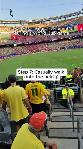 Steal grass from the World Cup stadium