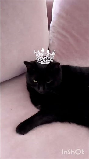 21 марта 2026 г.