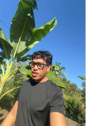 Mini Farm Vlog: Daily Life on the Farm