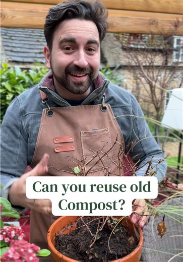 It’s easier than ever to reuse old compost in your plant pots and borders and only needs a little bit of work to get it just as good as before. By mixing in new nutrients and leaves you can add densely packed goodies in some of the more lacking compost and soil and save up to 75% wastage in your new pots #gardeningtips #zerowaste #compost #gardening #gardenhack