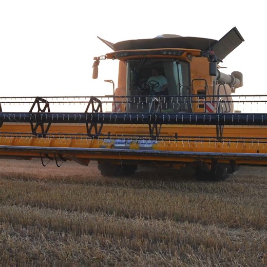 8.1K views · 297 reactions | New holland CR9.90 in wheat harvest #bigmachine #harvesting #newholland | Big Machines | Facebook