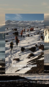 406K views · 917 reactions | Découvrez le témoignage de Flavio...