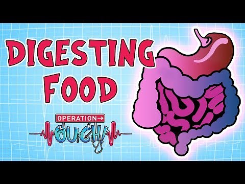 Operation Ouch - Digestion | Biology for Kids