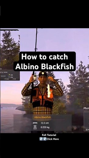 How to catch Albino Blackfish🎣 Kaniq Creek 🎣 Fishing Planet🎣 #tutorial #fishingplanet #monster