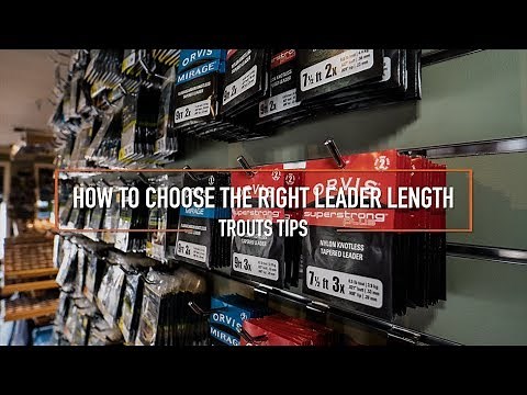 Trouts Tips: How to Choose The Right Leader Length