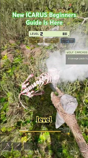 From My ICARUS 2026 New Player Guide - Level 2
