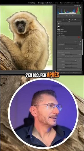 🎭 My tip for checking my masks in Lightroom Classic