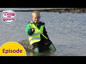 Rock Pooling | Time For School Full Episodes | CBeebies