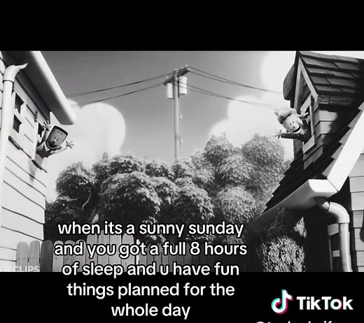 Enjoying a Perfect Sunny Sunday After 8 Hours of Sleep