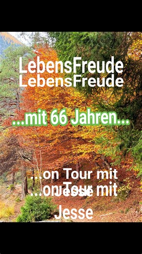 Liebe Barbara! 1000 STERNE ⭐️ und MEHR ⭐️ Ich dachte, die dritte Coaching-Tour wäre nicht mehr zu toppen - doch du hast sie noch bei weitem übertroffen. Ich bin unendlich dankbar, dass ich zu DIR geführt wurde! Mit welcher liebevollen Präsenz und Klarheit du die Muster in einem aufdeckst, sie ins Bewusstsein bringst, Unterstützung gibst und hilfst, das Beste zu entfalten, ist einfach wunderbar. Das Schönste und Wichtigste: Du erweckst die LEBENSFREUDE in einem wieder. Das ist unbezahlbar 🙏 Und 