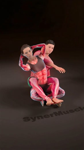 SynerMuscle on Instagram: "💥 Partner-assisted upper back stretch creates space through the spine, easing neck and shoulder tension and improving posture. #upperbackrelief #mobility #synermuscle #couples"