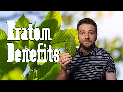 Kratom! A Natural Remedy for Pain, Anxiety, and More