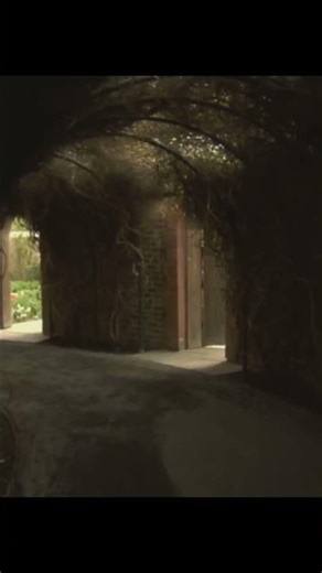 Why Letting Go Doesn’t Immediately End Attachment.