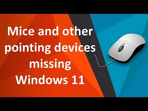Mice and other pointing devices missing from device manager windows 11