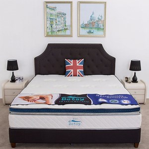 [Hot Item] 5 Star Hotel Crown Quliting Luxury Style Vacuum Pack Spring Mattress