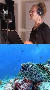 Never did I ever think I’d one day get to voice a character on a tv show! But here we are! Season 2 of #ReefSchool on #ABCkids is now out and I play not only the mathematical genius Mr Bwap, but also Surg’s dad! Such an amazing show and I feel so incredibly lucky to be part of it! • • • • • #teacherlife #australia #teachersofinstagram #entertainment #tv #television #lifeofateacher #teacherlife #abc #mrluke | iam.mrluke