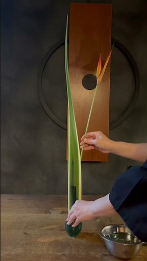 さくっと生け花 Simple Ikebana #生け花 #いけばな #ikebana