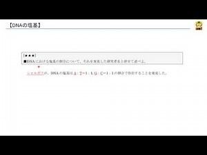 DNAの塩基 【高校生物】
