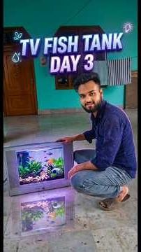 😍🐟 Making TV Fish Tank Day-3 #fishtank #tvfishtank #diy #urwahkevlogs #shahjahanpur