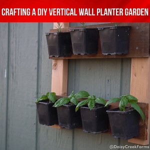 1K views · 15 reactions | Turn your walls into a living canvas!  Our DIY Vertical Wall Planters are the perfect way to showcase your green thumb | Indoor Plants Advisors | Facebook