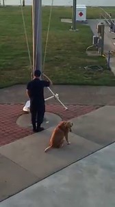 884K views · 4.6K reactions | Sandy singing the National Anthem for everyone. She has recently added this to her morning routine. | U.S. Coast Guard Station Port O'Connor | Facebook