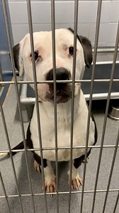 181K views · 9.9K reactions | CUTEST GIRL IN THE WHOLE WIDE WORLD...