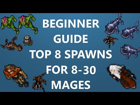 Tibia[where to profit & hunt ED/MS] BEGINNER MAGE GUIDE - TOP 8 SPAWNS [8 - 30 LVL] [2019]