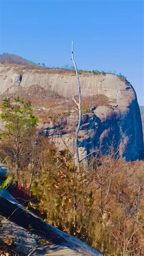 Susie Eileen Anderson on Reels