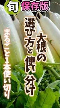 【大根の選び方と使い分け】まるごと1本使い切り！辛味が強いのか、甘みがあるのか見た目でわかる！使い分けにも一工夫✨丸ごと美味しく！ #旬菜クッキング #大根大量消費 #大根使い分け #選び方