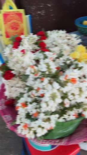 MANSII🌼 on Instagram: "Chamundi Betta, Mysore 🕉️🪷 #chamundi #chamundihills ⛰️ #chamundeshwari #mysurudiaries #travel #instareel #divine #blessings Perched atop Chamundi Hill, the Chamundeshwari Temple offers serene spirituality and stunning views of Mysuru. A sacred symbol of faith and heritage, it leaves every visitor with a sense of peace and devotion. Temple Timings: 7:30 AM – 2:00 PM | 3:00 PM – 6:00 PM | 7:30 PM – 9:00 PM"