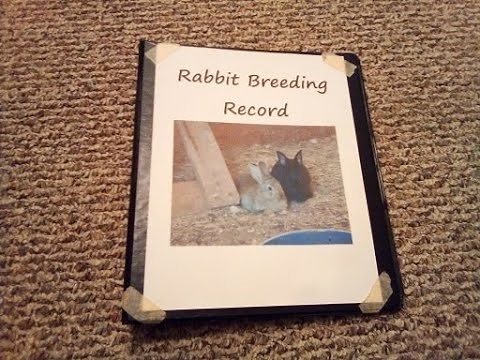 My Rabbit Breeding Records/How I Keep Track of My Rabbit Litters