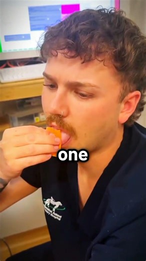 He Tasted a Dog’s Bandage… and Instantly Regretted It 🤢🐶 (Shocking Truth!)