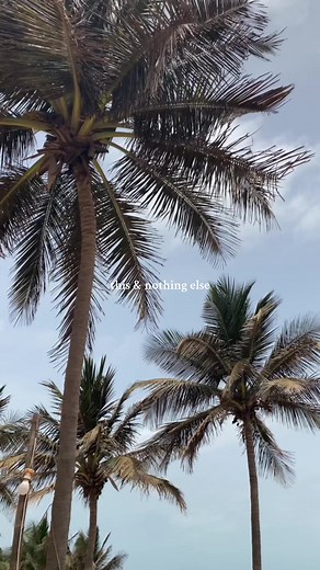 Because Wednesdays deserve a little paradise. 🍹Join us at Paradise Beach Club for your much needed midweek escape. 🌞 Reservations: 220 266 6663 Tuesday – Sunday | 11AM – 10PM ✨ . . . . #paradisebeachclubgambia #beachfrontrestaurant #gambia #beachbar #visitgambia #luxebeachclub . #tiktokgambia #gambian_tiktokers #restaurantsingambia #senegalaise_tik_tok #tiktoksenegal #westafricantiktok #senegalaise_tik_tok🇸🇳 #senegambiantiktok #senegambia #placestogoingambia